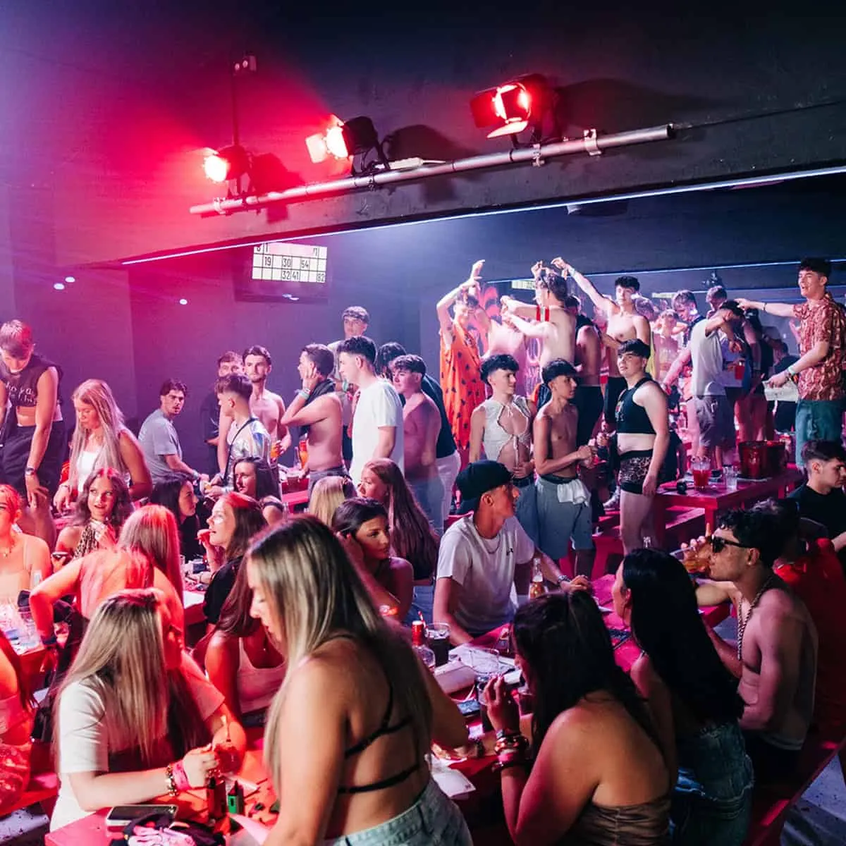 Bongos Bingo, view 2